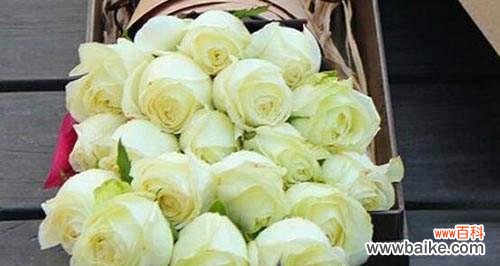 浪漫至极 99朵玫瑰花花语的深刻含义