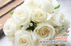 传递爱与祝福的花海 浪漫之语