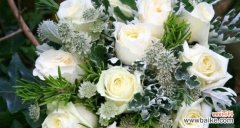 传递爱与祝福的花海 浪漫之语