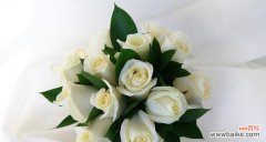 白玫瑰花的含义及其在爱情中的象征力 白玫瑰的爱意与象征