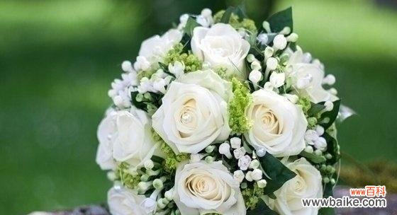探寻白色玫瑰所传达的深意 白色玫瑰的花语
