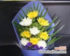 借助花语传递心灵的慰藉与怀念 哀悼的花语