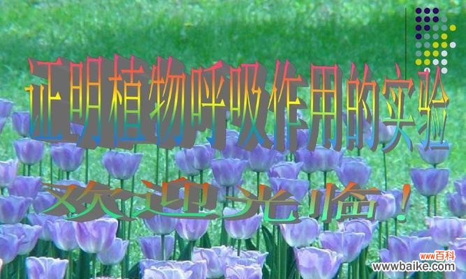 植物呼吸作用的意义及其影响 植物的呼吸作用