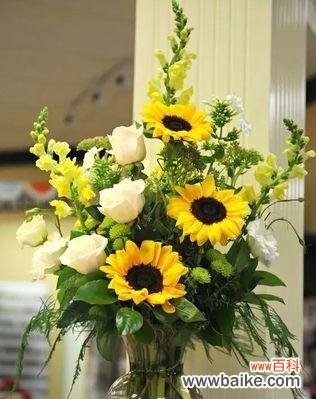 探寻花语中陪伴的含义 花语中的陪伴之花