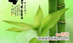 生命力顽强的绿色象征——竹子 竹子的特点与象征意义