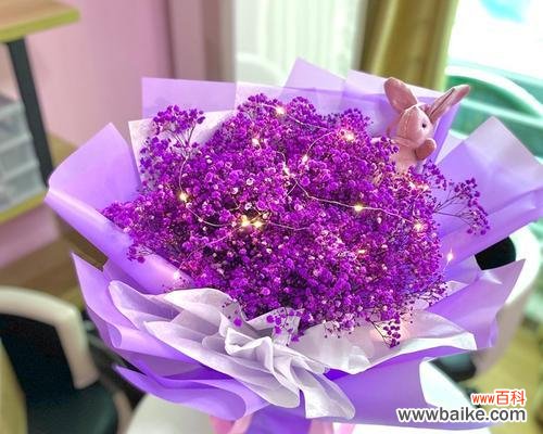 探寻紫色满天星花所传递的花语 紫色满天星的花语——神秘与浪漫交织的花海