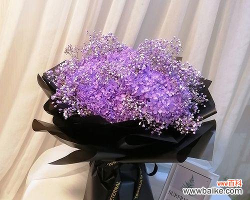 探索紫色满天星的神奇语言 紫色满天星花语和寓意