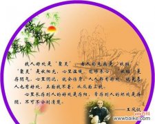 解读侧柏开花所代表的花语和寓意 侧柏的花语与寓意