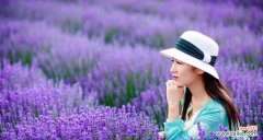 揭秘紫色薰衣草的15种隐含意义 紫色薰衣草的花语与寓意