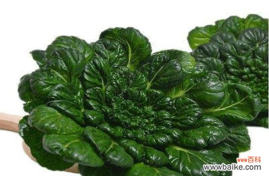 从土地到餐桌 大白菜的象征意义与文化内涵