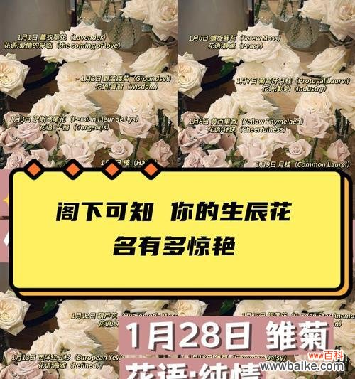 传承中华文化的生态之道 用龟背竹浇花,寓意深远