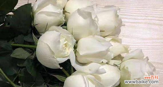 白玫瑰的花语是什么 白玫瑰的花语