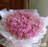 揭秘白色满天星的花语及其象征意义 白色满天星的花语——纯洁与祝福