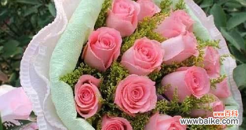 探秘粉玫瑰花语 粉玫瑰花语的含义与传承