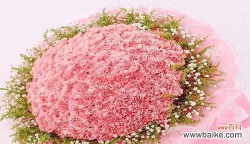 走进粉色康乃馨 粉色康乃馨的花语——爱与宽容