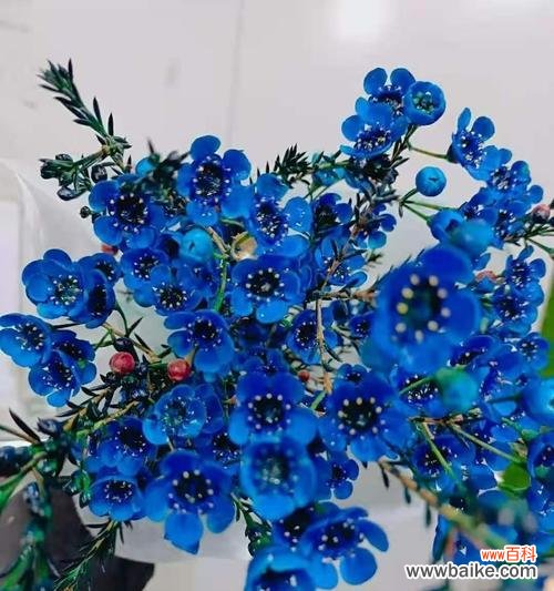 阳光般的勇气与坚定 坚强不屈的力量