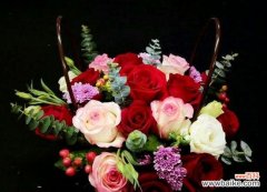 救赎的象征与玫瑰花 以玫瑰花的花语为主题的文章