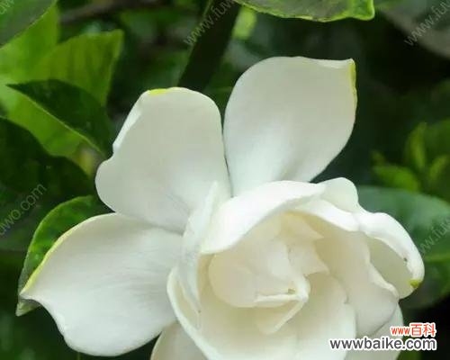 从古至今 女性力量