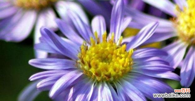 从古至今 女性力量