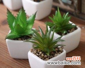 从古至今 女性力量