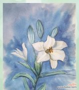 盛夏之美，透过不同色彩感受唐菖蒲的芬芳馨香 色彩与花语——探索唐菖蒲的丰富内涵