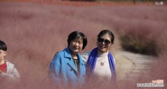 探索粉黛乱子草的花语之美 粉黛乱子草的花语