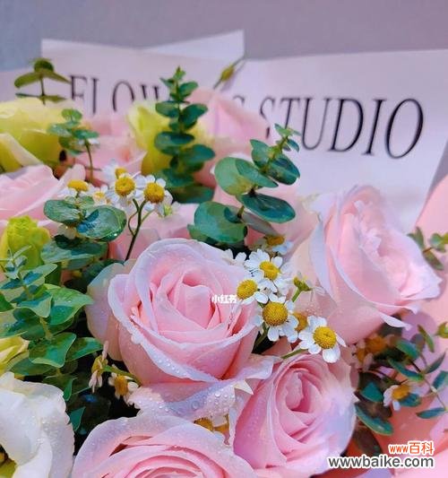 传递爱与关怀的温柔之花 粉红色玫瑰的花语