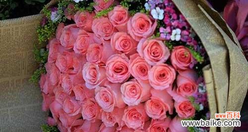 探究粉玫瑰的浪漫花语及其深层意义 粉玫瑰的花语