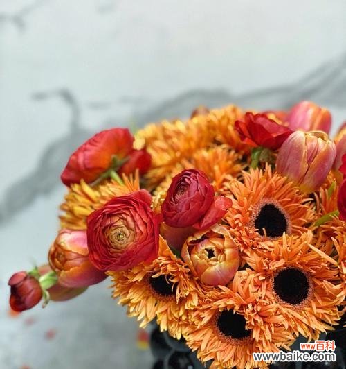 探寻扶郎在文化中的象征与作用 扶郎的寓意与意义