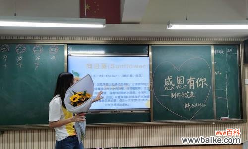 以太阳为心 感恩的花语——以向日葵为例