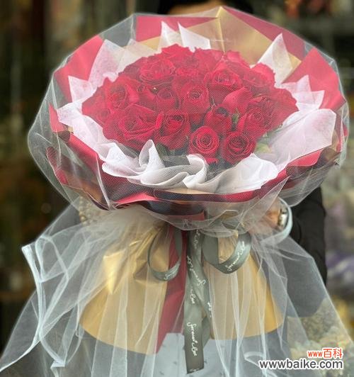 康乃馨——感激与感谢之花 感谢遇见你——以康乃馨的花语为主题的文章