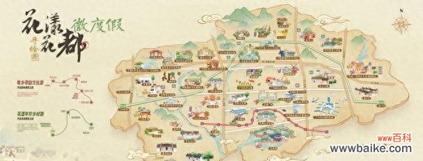 阳光 青春活力的花语——向日葵