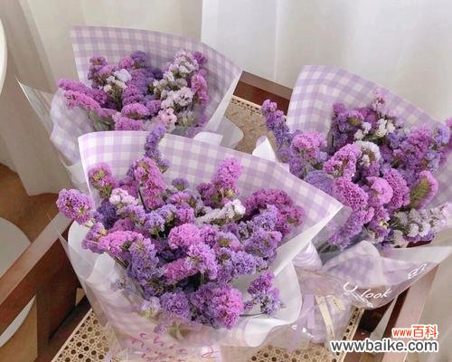 菊花的花语及其象征意义 忘记我,以菊花之语