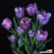 传递爱意的花语玫瑰 用玫瑰花的花语诉说我爱你