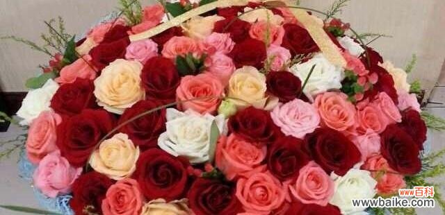 相思之约 花语中的渴望——以梅花的花语为主题