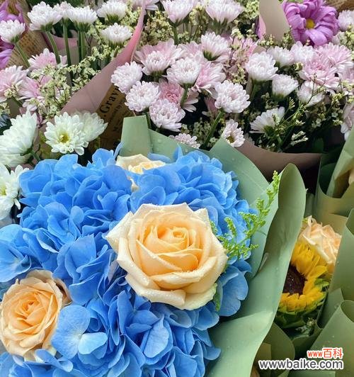 花开心情 以雏菊的花语为主题——希望你开心