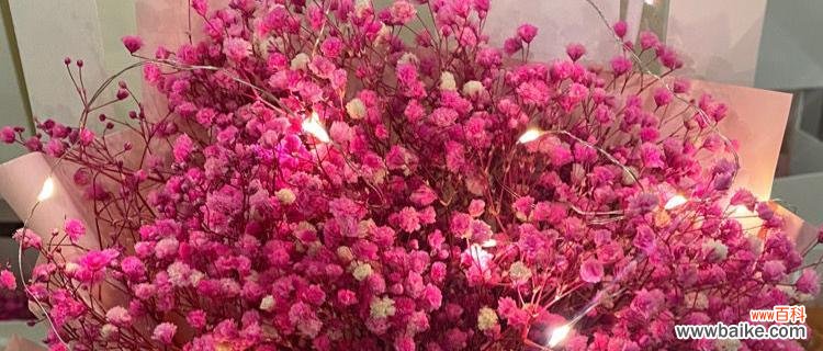 爱的勇气与等待 红色丁香花语解读——爱情的奋斗与执着