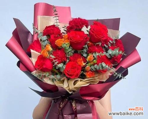 探索红色康乃馨的意义 红色康乃馨花语与寓意