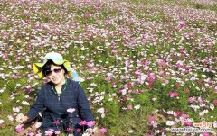 幸福如玫瑰绽放 以玫瑰花的花语为主题的幸福之旅