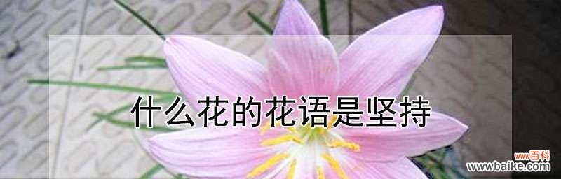 相互依偎的兄妹之情 兄妹情深——以紫藤花为主题的花语