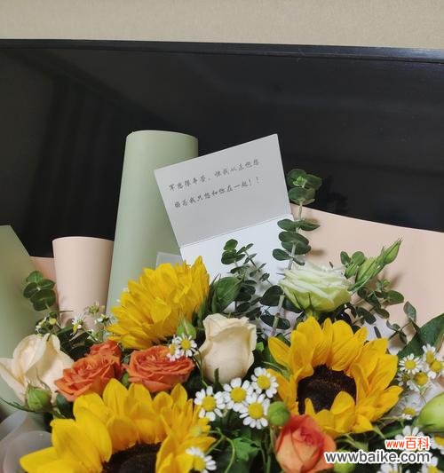 以向日葵为主题的花语解读 阳光花语,美好生活的象征