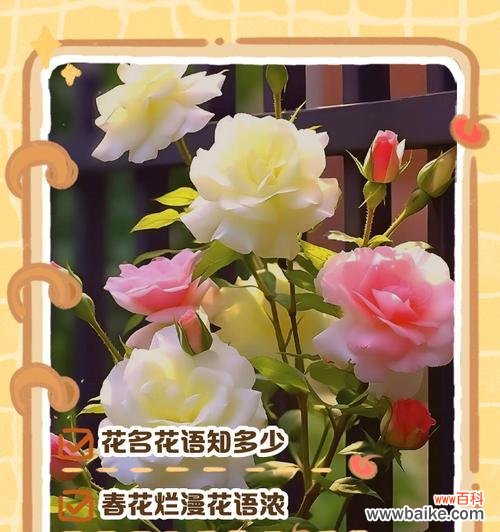 探寻葡萄风信子的独特语言和神秘背后 葡萄风信子花语的含义与传说