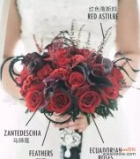 探索每种花朵的独特花语 用何种花的花语表达永远爱你