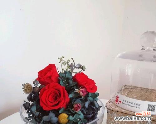 探索花卉中的生命哲学 永生之花