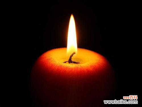 以花烛为媒介 花烛花语的寓意与象征