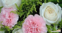 探索黄康乃馨花语的含义与传承 黄康乃馨的花语