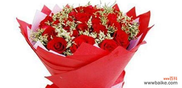 探究黄英花所代表的花语和象征意义 黄英的花语和寓意