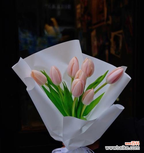 解读水蜜桃所代表的意义 水蜜桃的象征意义及文化内涵