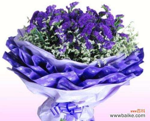 一朵小花背后的深意和情感 勿忘我花语及寓意象征着什么意思