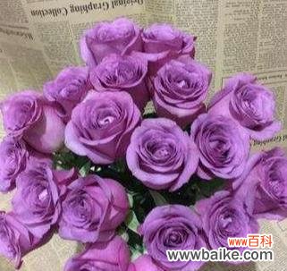 香水玫瑰花语的含义及表达爱意的技巧 玫瑰花语之香水玫瑰的浪漫与传情